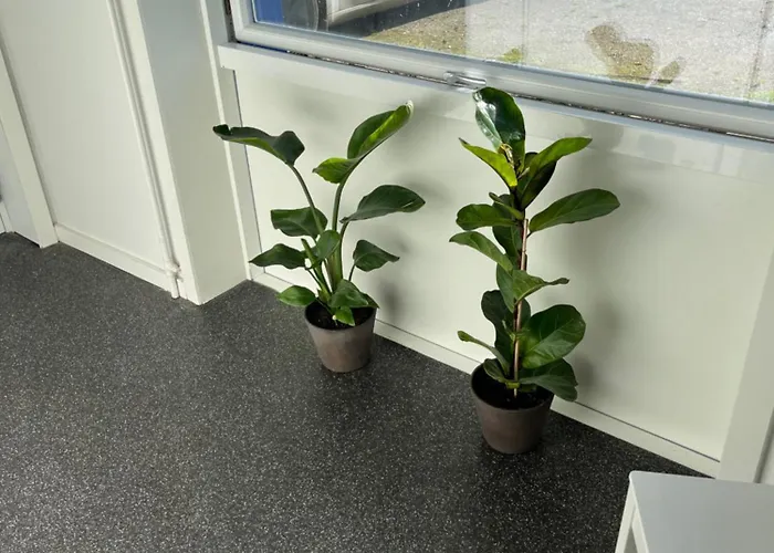 Hostel Mini 10 - Taet Pa Legoland Og Lego House